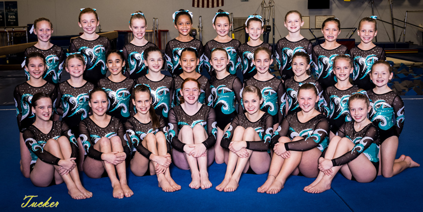 Gymnastics Team Girls 2015